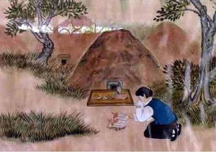 参与人群的健康与平安考量