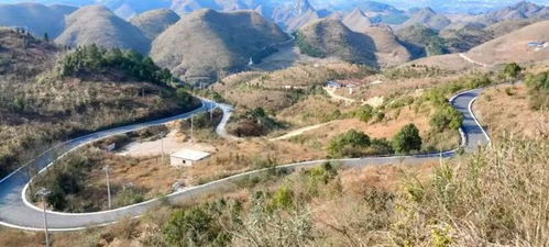 风景：美到窒息！单是蚊子也多啊…