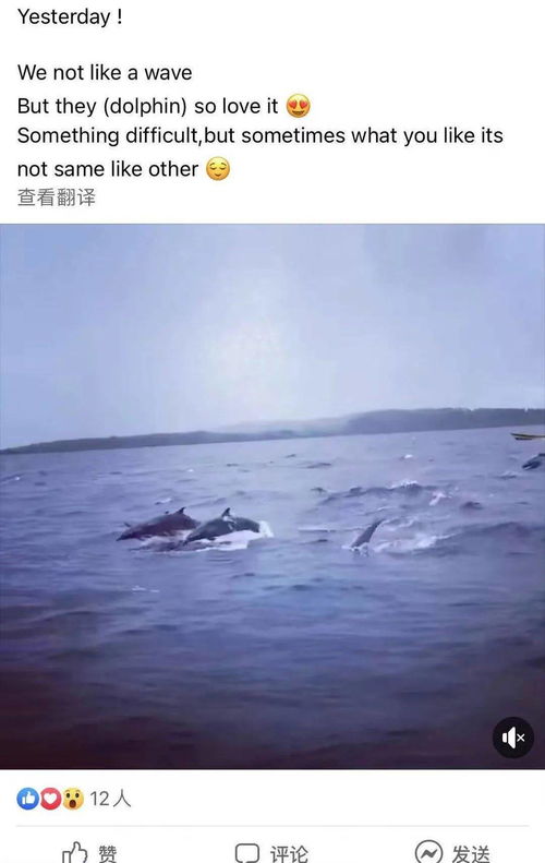 水元素：智慧与流动的象征