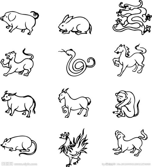 具体生肖对应的旺盛及避忌楼层