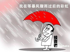 ：灵异现象与股市异动的交汇