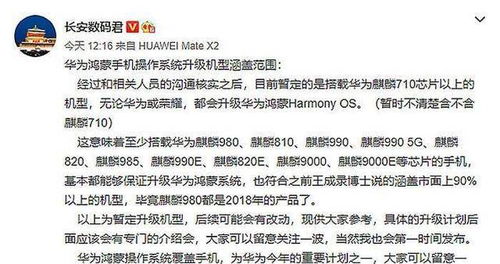 准确性的争议：掌握天干地支秘密的重要性