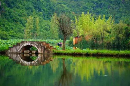 惯与那个让人又爱又恨的天鹅湖