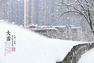 二、 大雪时节的养生保健原则与方法论
