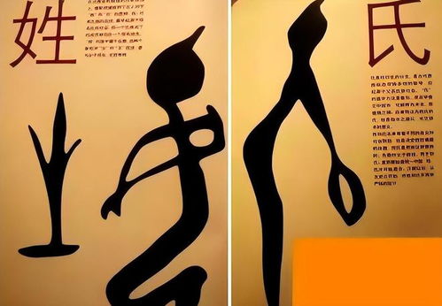 一、 姓名命理基础：五行与八字