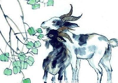 2026年蛇年属马的运势如何，本命年属马礼物代表什么含义？