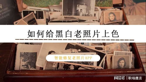 三色配色方案的应用案例