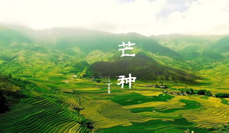 瓜果成熟与收获期：自然馈赠与适时采摘