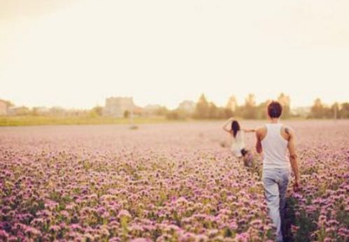 4. 绿植配置与压力缓释功能