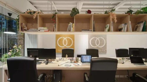 六、其他利于事业运势的风水植物及摆件