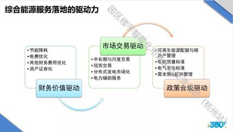 三、 调适策略与实践路径的综合研判