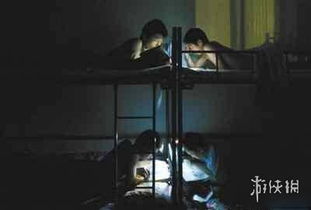 空间范围布局与能量流动的干扰
