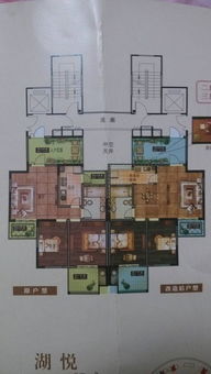 案例二：呼吸系统疾病的突发与缓解