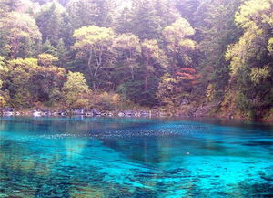 5. 楠溪江：远得要命还难走，虫子开乐队招募新人模特