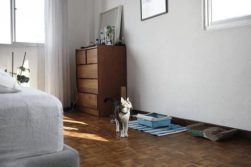 家里堆积破烂旧物会对风水产生不良影响吗？