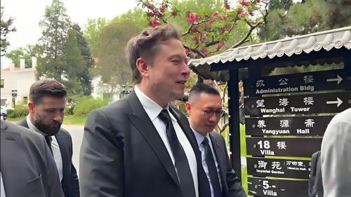 当马斯克突然现身上海：一场旅游狂潮背后的争议与真相