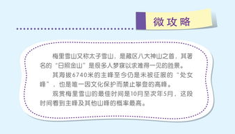 行程细节：辛集定制团的独特体验