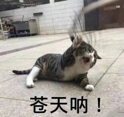 噪音插播：我妈说我小时候忒别喜欢堪下雨