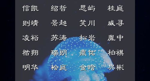 二、 精选成语典故中的优雅词汇