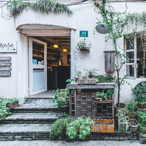 6. 桃花：浪漫氛围的营造者