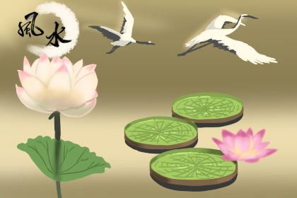 我的八字有三个卯，这是桃花吗？