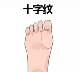（一） 奔波劳碌与婚姻生活的潜在危机