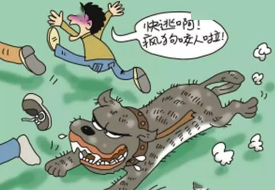 一、  ：生命伦理与因果缘起的深层反思