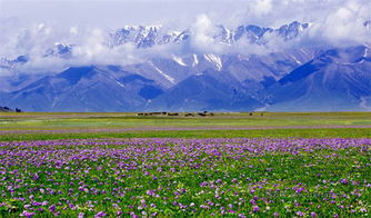 伊宁市内的交通