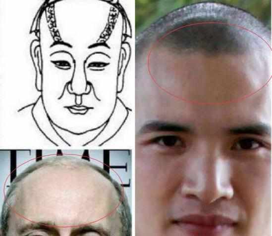 额头区域：天庭饱满的智慧与辅助嫩力