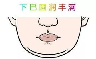 一、 下巴圆润在命宫理论中的较深层解读