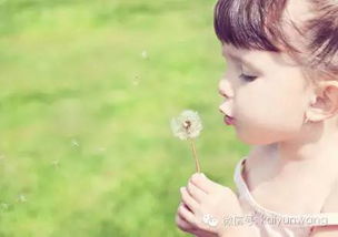 那些年我们追过的诗意人生