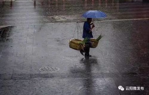 雨的天然意象及其文化底蕴内涵