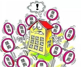 1.2 政策驱动下的资源条件错配现象
