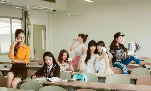 医疗及社会服务类职业