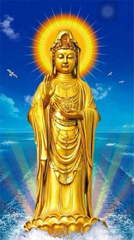 案例分析：青年求职者之经验启示