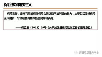 七、 维护要点：保持木元素活力与清洁的重要性