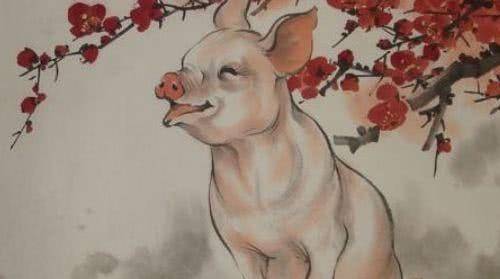 83年属猪男性格运势如何，哪一年运势最佳？