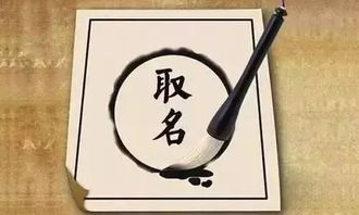 奕字：光彩照人？我看是贼拉耀眼！