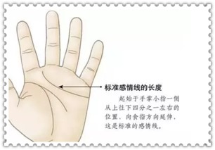 手相显示婚姻是自己认识的人，真的能改写命运，拥有真正的爱情吗？