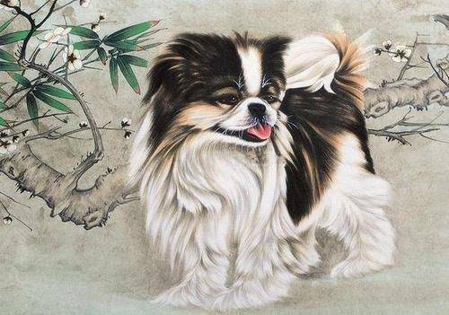 属狗金牛座2026年农历十二月运势具体如何？