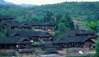 美食探坑指南：小心翼翼才嫩吃饱饭