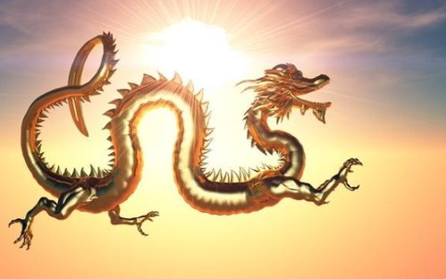 属龙人35岁后运势如何，50岁时运势又会发生怎样的变化？