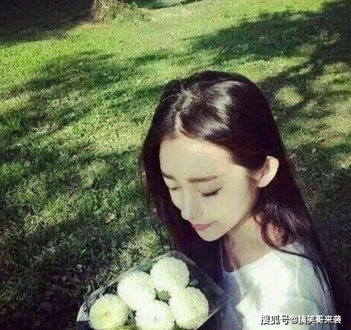 金牛座的稳定力量：踏实可靠的小牛