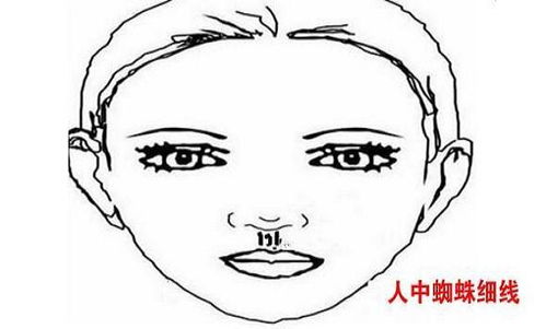 职场女强人的面相特征解析