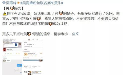 消费者为何“心甘情愿”? 当演唱会变成社交货币