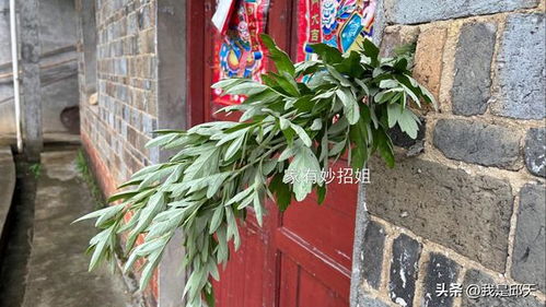 过年门口挂葱有什么风水讲究？