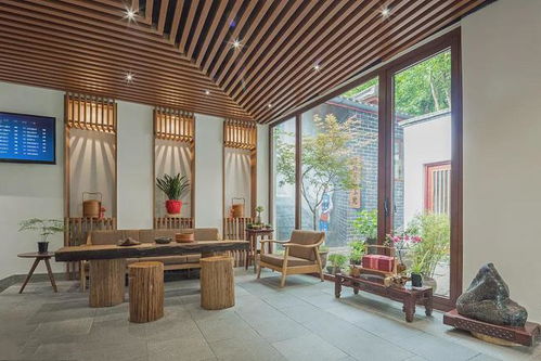 客厅及财位之植物配置策略