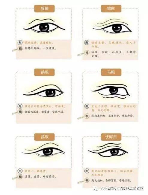 三、  火形入格之面相特征与命运解析