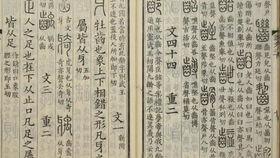 说文解字之胡说八道