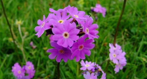 哪些星座女不会嫌弃男友穷，愿意同甘共苦，值得我用心守护？